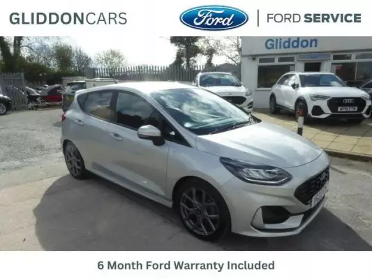 Ford Fiesta 1.0T EcoBoost MHEV ST-Line Euro 6 (s/s) 5dr