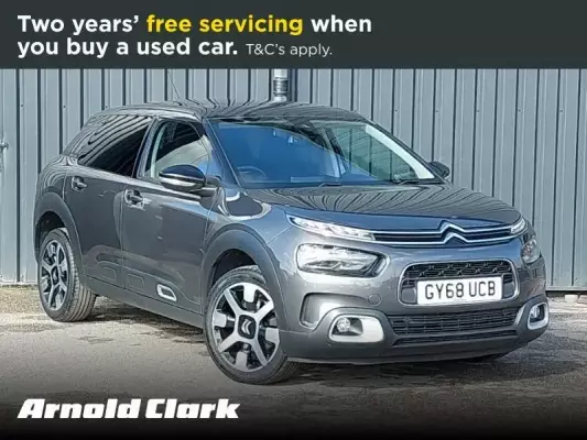 Citroen C4 Cactus 1.2 PureTech Flair Euro 6 (s/s) 5dr