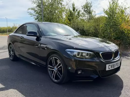 BMW 2 Series 2.0 230i M Sport Auto Euro 6 (s/s) 2dr