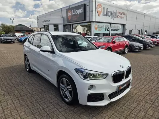 BMW X1 2.0 18d M Sport xDrive Euro 6 (s/s) 5dr