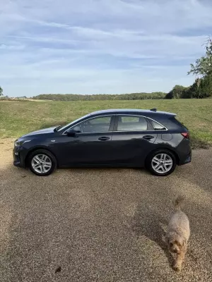 Kia Ceed 1.0 T-GDi 2 NAV Euro 6 (s/s) 5dr