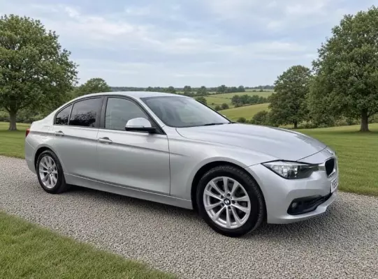 BMW 3 Series 2.0 316d SE Auto Euro 6 (s/s) 4dr